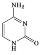 2: Cytosine
